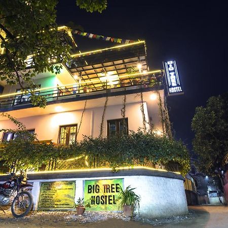 Big Tree Hostel Katmandu Zewnętrze zdjęcie