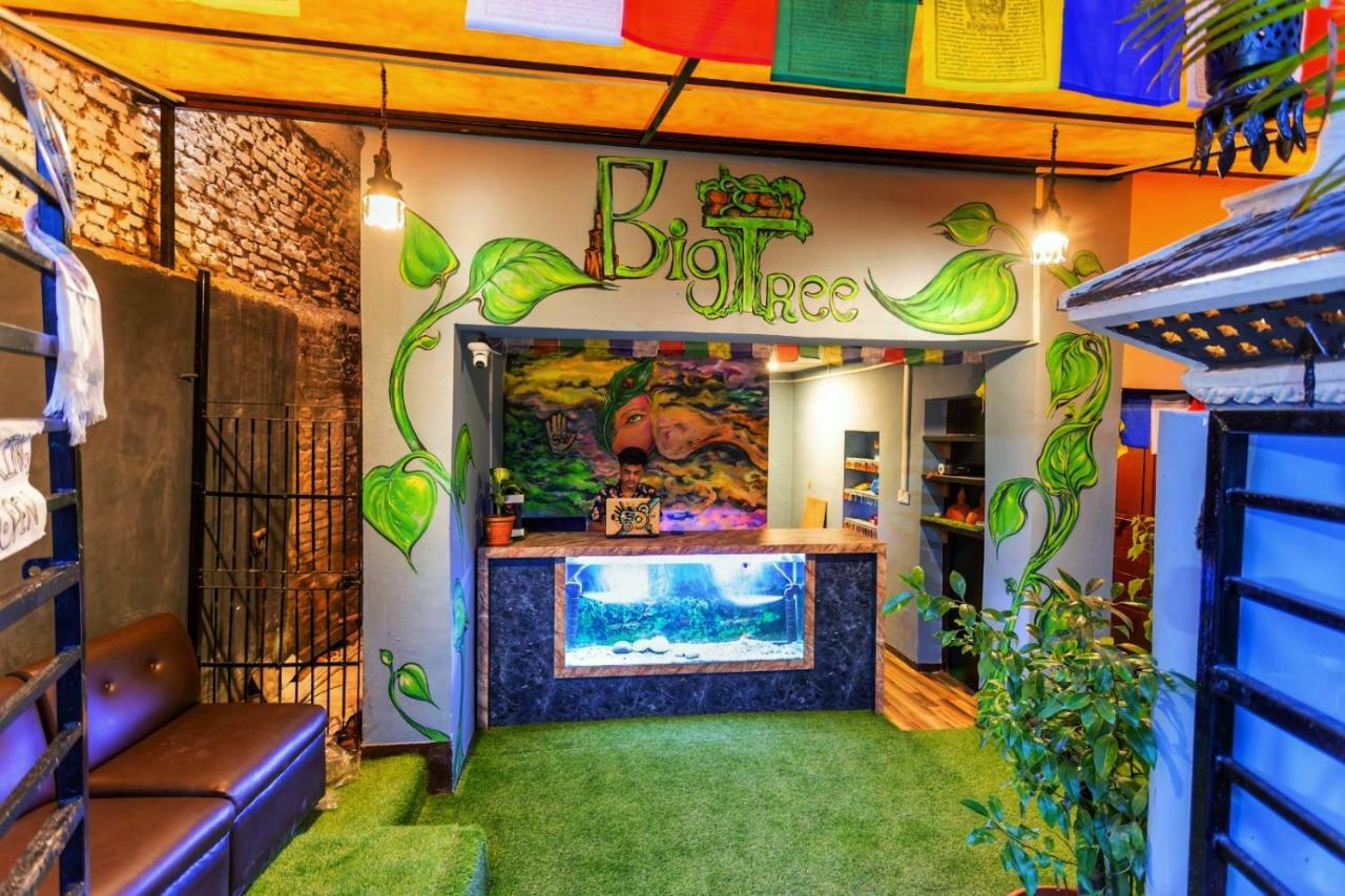 Big Tree Hostel Katmandu Zewnętrze zdjęcie