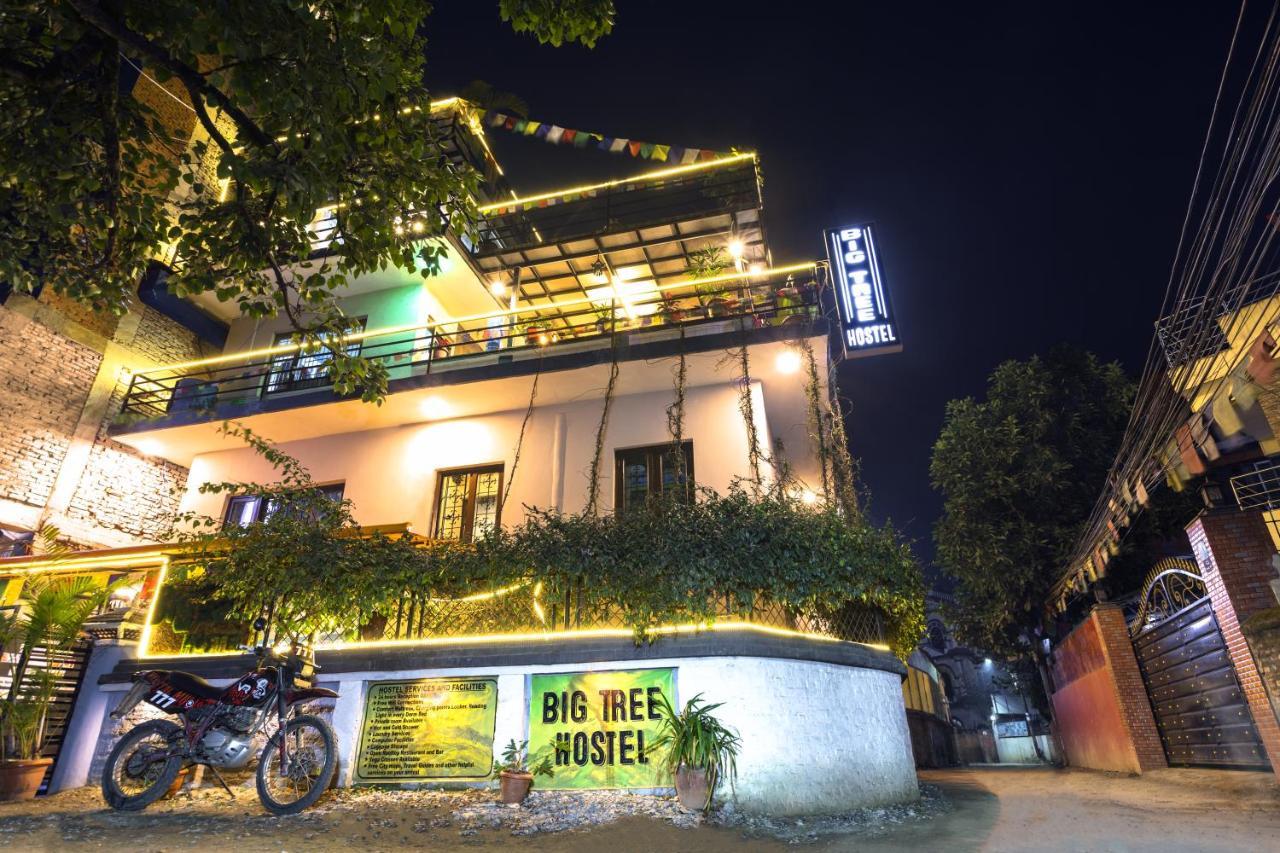 Big Tree Hostel Katmandu Zewnętrze zdjęcie